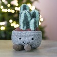 Jellycat Silly Succulent Columnar Cactus Soft Toy