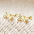Gold Sterling Silver Crystal Constellation Barbell Earrings
