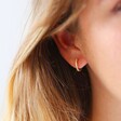 Tiny Gold Sterling Silver Crystal Hoop Earrings on Model