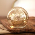 Medium LED Crackled Silver Light Globe
