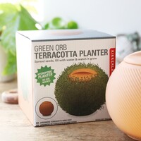 Kikkerland Green Orb Terracotta Planter