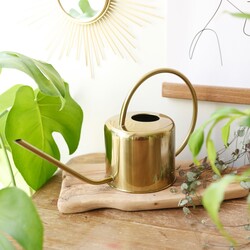 Kikkerland Vintage Gold Metal Watering Can