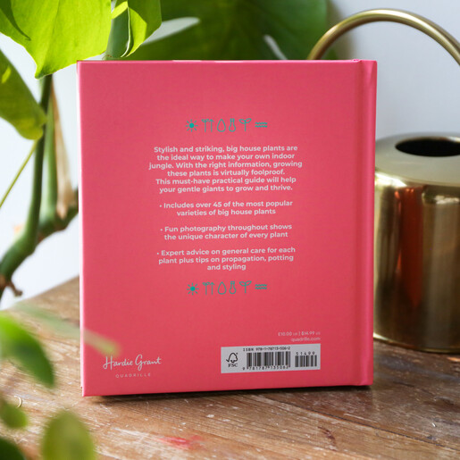 Back of Little Book Big Plants