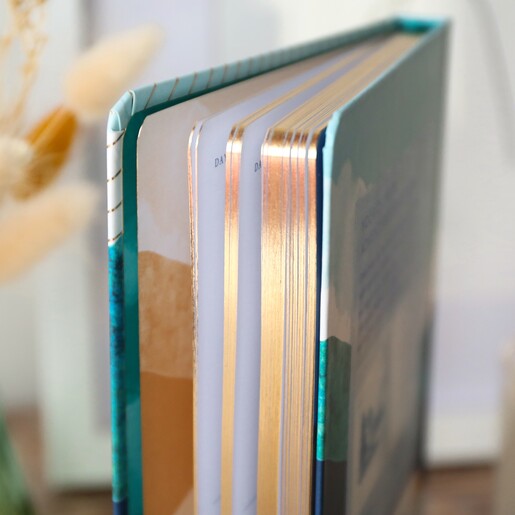 Gold Edge Gold Edge of One Sketch A Day: A Visual Journal