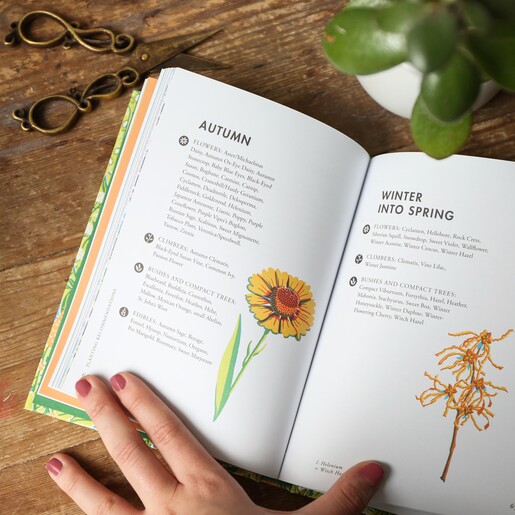 Hand Holding Planting for Honeybees Book Open