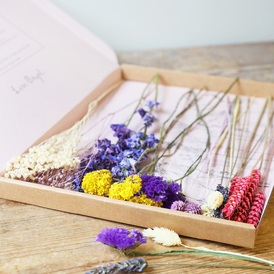 Rainbow Brights Cut Dried Flowers Letterbox Gift | Lisa Angel