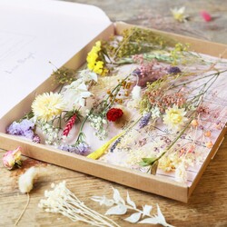 Pastel Dried Flower Posy Bouquet Letterbox Gift | Lisa Angel