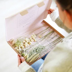 Natural Cut Dried Flowers Letterbox Gift