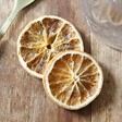 Dried Lemon Slices Drink Garnish Flat Lay