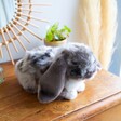 Lisa Angel Living Nature Grey Lop Eared Bunny Rabbit Soft Toy