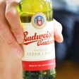 Close up of Bottle of Budweiser Budvar Czech Lager Beer at Lisa Angel