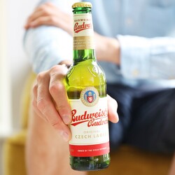 Bottle of Budweiser Budvar Czech Lager Beer