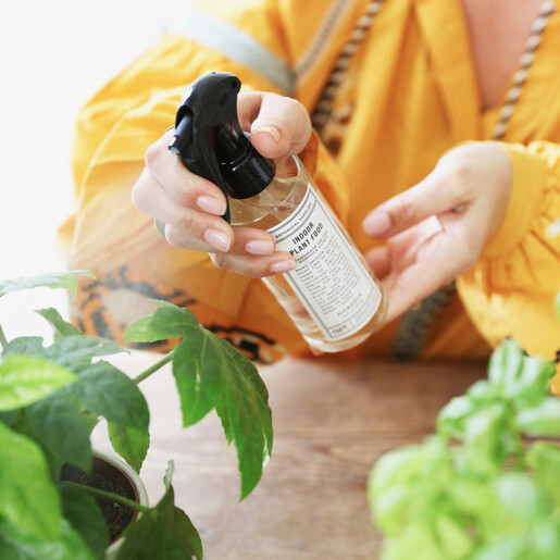 Norfolk Natural Living Indoor Plant Food and Atomiser Gift Set