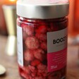 Close Up of Pinkster Boozy Berries