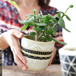 Sass & Belle Black & White Sgraffito Planter, H10cm