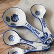 Floral Pattern on Blue Willow Floral Measuring Spoons