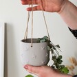 Model Holding Sass & Belle Cement Bee Hanging Planter