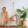 Small Terracotta Heart Hanging Planter from Sass & Belle