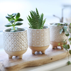 Sass & Belle Japanese Inspired Mini Planter, H9cm