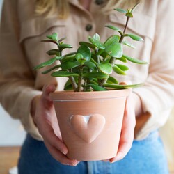 Sass & Belle Large Heart Terracotta Planter, H11cm