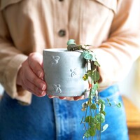 Sass & Belle Mini Queen Bee Cement Planter