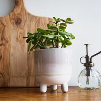 Sass & Belle Mojave Glaze Grey Planter, H12.5cm