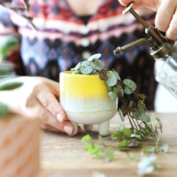 Sass & Belle Mojave Glaze Yellow Planter, H9cm