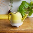 Ladies' Sass & Belle Mojave Glaze Yellow Watering Can