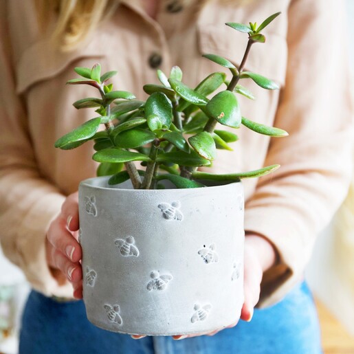 Model Holding Queen Bee Cement Planter