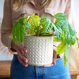 Lisa Angel Sass & Belle Rattan Weave Concrete Planter, H11.5cm