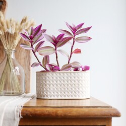 Sass & Belle Rattan Weave Concrete Trough Planter, H10cm