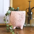 Sass & Belle Small Speckled Leggy Planter - Pink