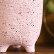 Close up of Small Speckled Leggy Planter - Pink