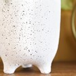 Close up of Large Speckled Leggy Planter - White/Sand