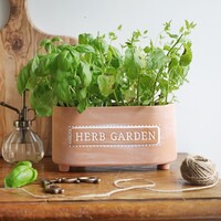 Sass & Belle Terracotta Herb Garden Trough Planter