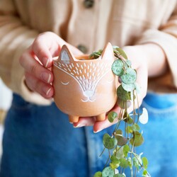 Sass & Belle Woodland Fox Mini Terracotta Planter, H9cm