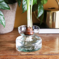 Personalised LSA Canopy Bulb Planter