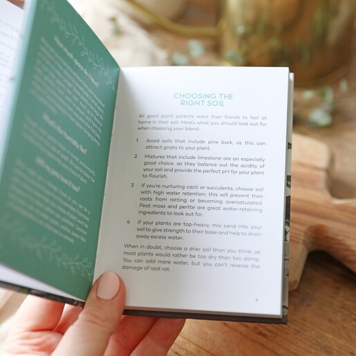 Inside Pages of Little Book for Plant Parents