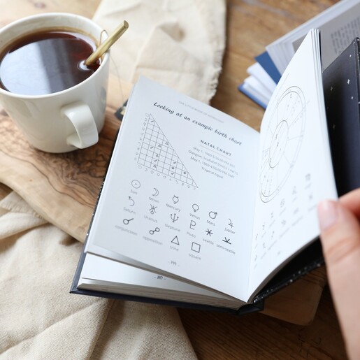 The Little Book of Astrology from Lisa Angel