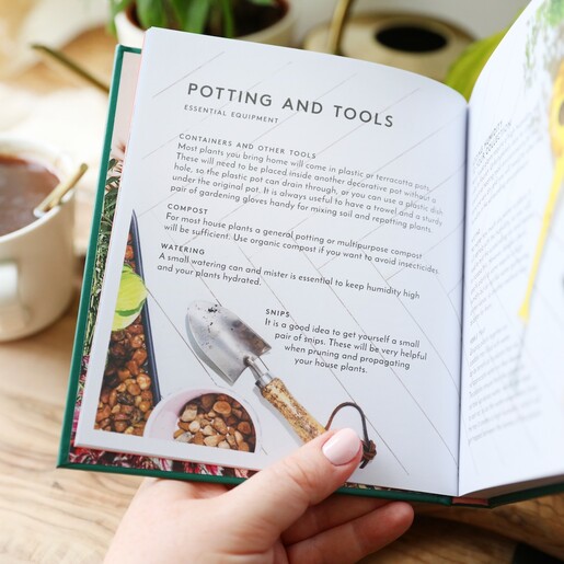 Inside of The Little Book of House Plants and Other Greenery