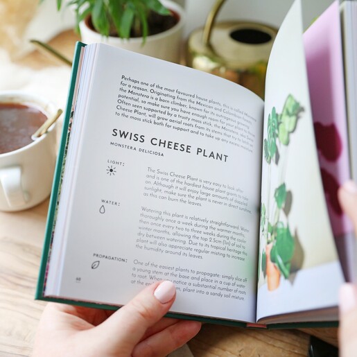 The Little Book of House Plants and Other Greenery - Emma Sibley