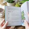 Emma Sibley: The Little Book of House Plants and Other Greenery