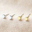 Tiny Stainless Steel Disc Stud Earrings in Gold