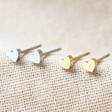Ladies' Tiny Stainless Steel Heart Stud Earrings in Silver and Gold