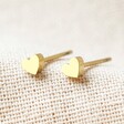 Ladies' Tiny Stainless Steel Heart Stud Earrings in Gold