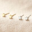 Tiny Stainless Steel Star Stud Earrings in Gold and Silver