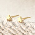Ladies' Tiny Stainless Steel Star Stud Earrings in Gold