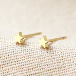 Tiny Stainless Steel Star Stud Earrings in Gold