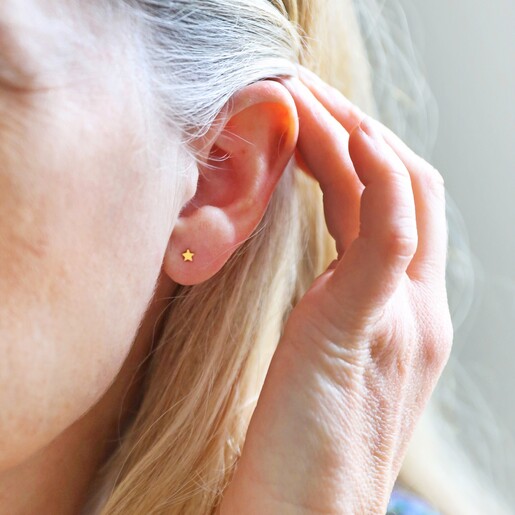 Tiny Stainless Steel Star Stud Earrings in Gold  Lisa Angel