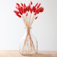 Lagurus Bunny Tails Grass in Blush Pink